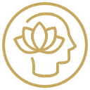 Product Icon Recovery